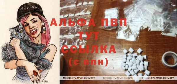 2c-b Бородино