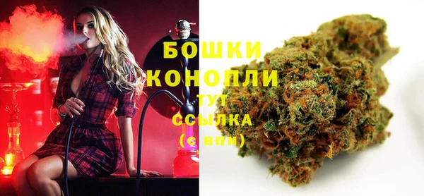 амф Бронницы