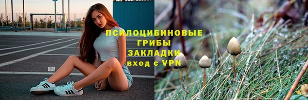 шишки Армянск