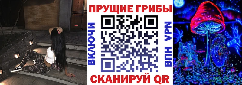 Галлюциногенные грибы Psilocybine cubensis  Чудово 